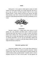 Referāts 'Produktu sagriešanas veidi', 6.