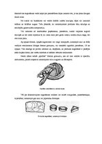 Referāts 'Produktu sagriešanas veidi', 7.