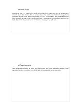 Biznesa plāns 'Biznesa plāns teātra pulciņam', 4.