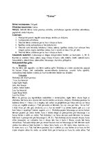 Konspekts 'Rotaļnodarbības runas attīstībai pirmsskolā', 7.