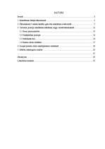 Referāts 'Rakstītprasmes iemaņu veidošana angļu valodā sākumskolā', 3.