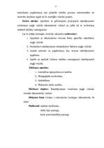 Referāts 'Rakstītprasmes iemaņu veidošana angļu valodā sākumskolā', 5.