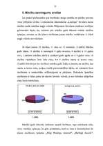 Referāts 'Rakstītprasmes iemaņu veidošana angļu valodā sākumskolā', 24.