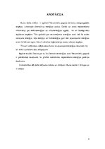 Referāts 'Ilgtspējīgas energoapgādes iespējas Vecumnieku pagastā', 4.