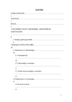 Referāts 'Ilgtspējīgas energoapgādes iespējas Vecumnieku pagastā', 7.