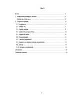 Referāts 'Kognitīvā psiholoģija', 2.