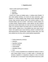 Referāts 'Kognitīvā psiholoģija', 6.