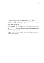 Referāts 'Radikāli labējo politisko spēku ideoloģisko pamatprincipu analīze - Vāciju un Fr', 17.