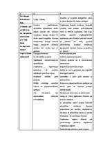 Diplomdarbs 'Līzings kā finanšu investīciju veids', 31.