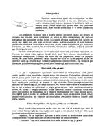 Referāts 'Rokasspiediens', 1.