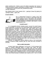 Referāts 'Rokasspiediens', 3.