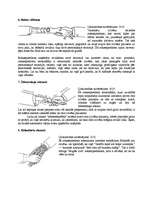 Referāts 'Rokasspiediens', 8.