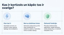 Prezentācija 'Kortizola loma organismā un stresa reakcijā', 2.