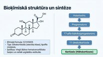 Prezentācija 'Kortizola loma organismā un stresa reakcijā', 4.