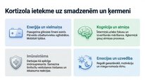 Prezentācija 'Kortizola loma organismā un stresa reakcijā', 6.