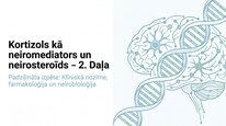 Prezentācija 'Kortizola loma organismā un stresa reakcijā', 13.