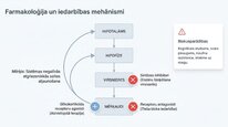 Prezentācija 'Kortizola loma organismā un stresa reakcijā', 17.