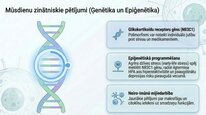 Prezentācija 'Kortizola loma organismā un stresa reakcijā', 23.