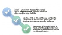Prezentācija 'Kortizola loma organismā un stresa reakcijā', 26.