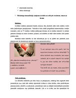 Konspekts 'Integrēto mārketinga komunikāciju plāns pakalpojuma virzīšanai tirgū', 5.