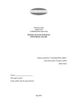 Referāts 'Industrijas analīze par savu uzņēmumu', 1.