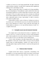 Referāts 'Industrijas analīze par savu uzņēmumu', 7.
