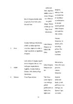 Referāts 'Industrijas analīze par savu uzņēmumu', 13.