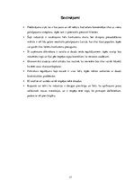 Referāts 'Industrijas analīze par savu uzņēmumu', 17.