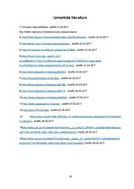 Referāts 'Industrijas analīze par savu uzņēmumu', 18.