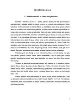 Diplomdarbs 'Kalendāra izveide', 5.