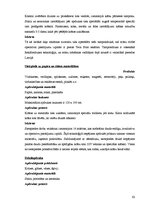 Diplomdarbs 'Kalendāra izveide', 60.