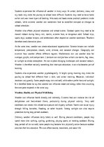 Eseja 'How weather affects daily life', 3.