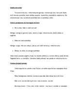 Konspekts 'Elegantā, drošā mājsaimniece', 2.