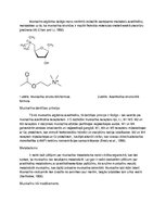 Konspekts 'Muskarīns', 2.