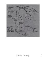 Referāts 'Endometrioze', 4.