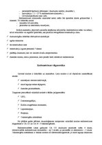 Referāts 'Endometrioze', 7.