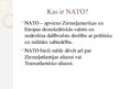 Prezentācija 'Ziemeļatlantijas Līguma organizācija', 3.