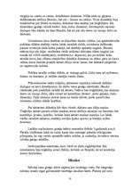 Referāts 'Senās Grieķijas kultūra', 10.