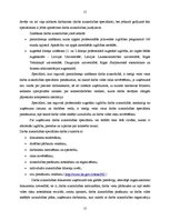 Prakses atskaite 'Prakses atskaite darba aizsardzībā', 15.