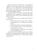 Referāts 'Iedzīvotāju līdzdalība lēmumu pieņemšanā', 7.