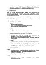 Paraugs 'Darba kārtības noteikumi SIA "XXX"', 7.