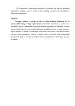 Eseja 'Sabiedrisko attiecību loma satiksmes drošības un vides aizsardzības kampaņās', 3.