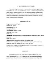 Referāts 'Lielbritānija, Anglija', 4.