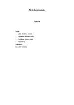 Referāts 'Pārdošanas māksla', 1.