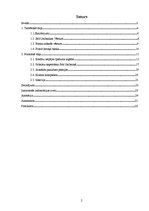 Referāts '"SEB Unibanka" piedāvājumi', 2.