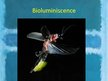 Prezentācija 'Luminiscence', 10.