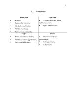 Biznesa plāns 'Uzņēmums "Klintas ateljē"', 15.