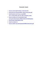 Biznesa plāns 'Uzņēmums "Klintas ateljē"', 21.