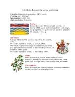 Referāts 'Kanāda', 6.