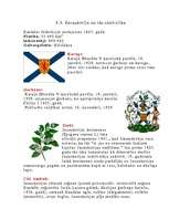 Referāts 'Kanāda', 7.